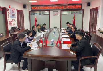 <strong>省贛財(cái)融資再擔(dān)保公司、省財(cái)惠通實(shí)業(yè)公司蒞余開(kāi)展代償補(bǔ)償項(xiàng)目追償摸底專(zhuān)項(xiàng)工作</strong>